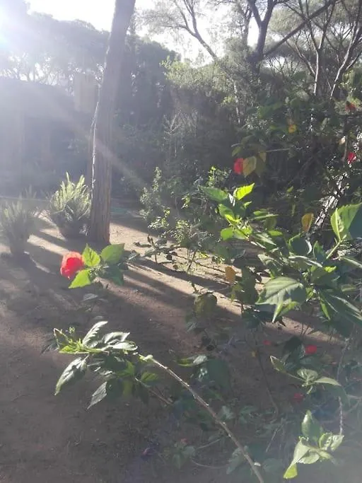 Appartement Villetta A Schiera Calaverde Fort Village